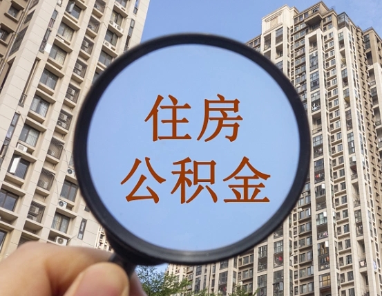 延安退休后查不到公积金明细了吗（退休后公积金查询不到原因）